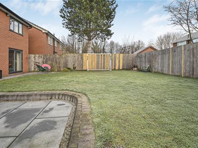 Picture 38